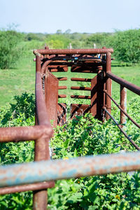 Close-up of rusty metal fence on field