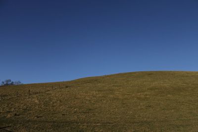 Scenic view of field against clear blue sky