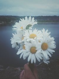 Low section of person with yellow flowers in lake