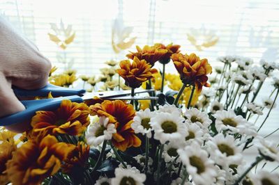 Cropped hand cutting flower heads