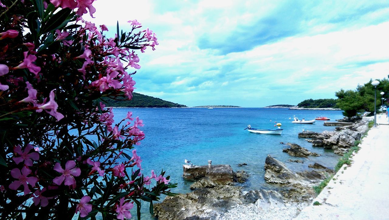 sky, water, sea, cloud - sky, beauty in nature, horizon over water, tranquil scene, tranquility, scenics, cloudy, nature, tree, cloud, flower, growth, plant, shore, idyllic, outdoors, day, no people, coastline, blue, calm, pink color, weather, remote, ocean, non-urban scene, overcast, non urban scene