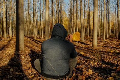 Rear view of man in forest