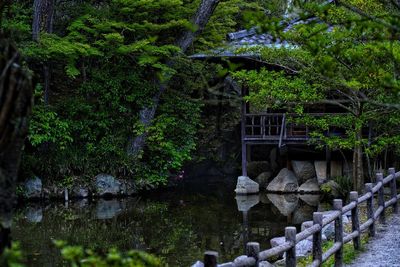 Bridge over canal in forest