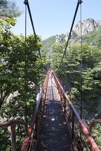 Footbridge in forest against clear sky