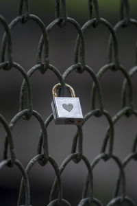 Close-up of padlock on chainlink fence