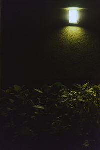 Illuminated lights in building at night
