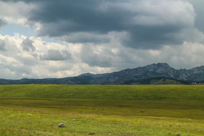 Scenic view of landscape against sky