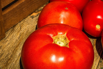 High angle view of tomatoes on table