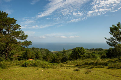 Scenic view of sea against sky