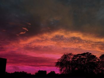 Silhouette of trees against dramatic sky