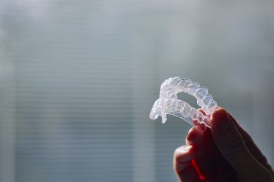 Close-up of person holding bubbles