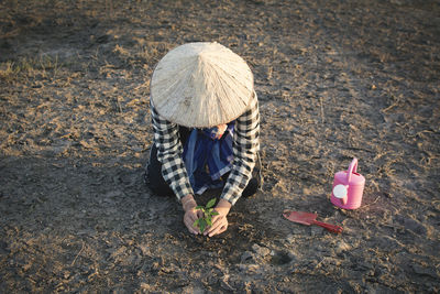 High angle view of man doing plantation on field