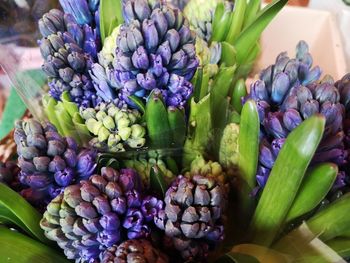 Close-up of purple tulips for sale in market