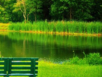 Scenic view of calm lake