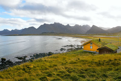 Yellow wooden cabin with grass rooftop at the beach on lofoten islands in norway