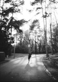 Trees on countryside landscape