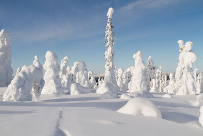 Panoramic view of snow covered land against sky