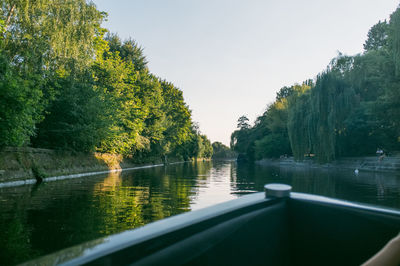 Reflection of trees in water