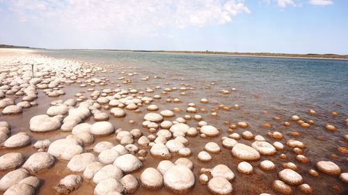 View of pebbles on beach against sky