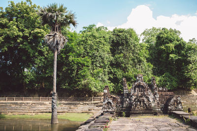 Trees growing by old ruins against sky