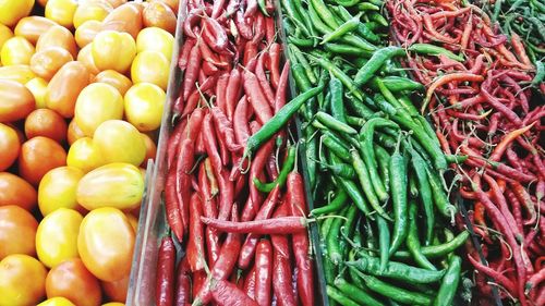 Chili peppers for sale