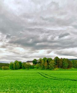 Scenic view of field against sky