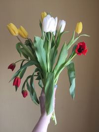 Close-up of rose flower in vase