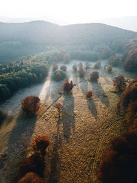 High angle view of trees on landscape against sky