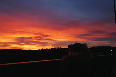 Scenic view of silhouette trees against sky during sunset