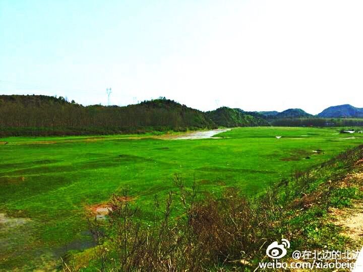 grass, landscape, field, text, clear sky, mountain, tranquility, green color, tranquil scene, scenics, western script, grassy, copy space, beauty in nature, communication, nature, non-urban scene, sky, growth, day