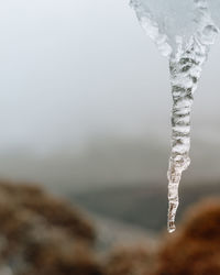 Close-up of icicles on sea against sky