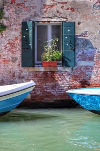Potted plants by window of building