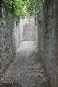 Cobblestone street amidst trees