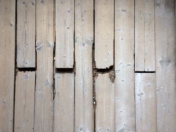 Close-up of wooden plank