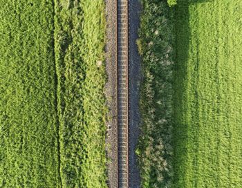 High angle view of agricultural field