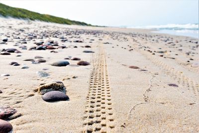 Bike or motorbike tire track or trace in the sand on the shore with baltic sea and dunes