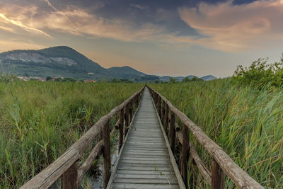 Boardwalk amidst plants on field against sky