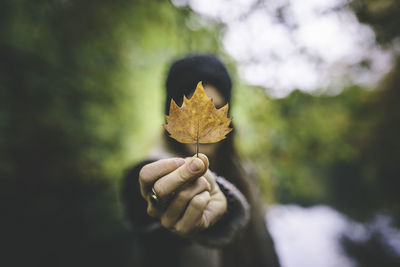 Close-up of woman holding maple leaf