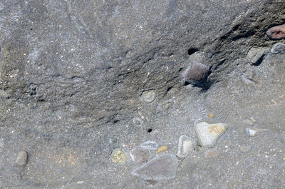 Rocks on beach