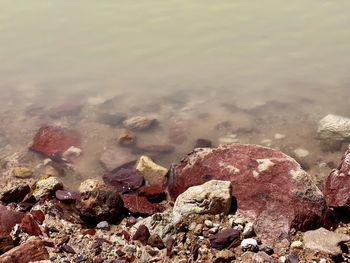 High angle view of rocks on beach