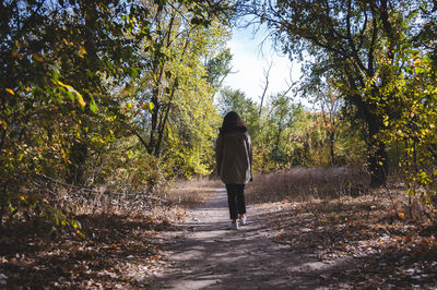 Rear view of woman standing amidst trees in forest