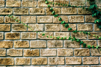 Full frame shot of brick wall