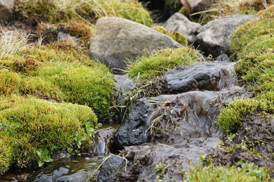 Stream flowing through rocks