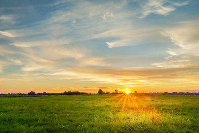 Sunset over the horizon, green meadow and clouds on the sky