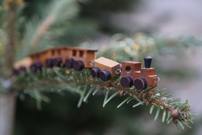 Close-up of wooden miniature train on plant