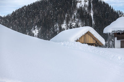 Snow covered houses and trees against sky