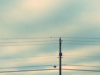 Low angle view of silhouette birds on electricity pylon against sky