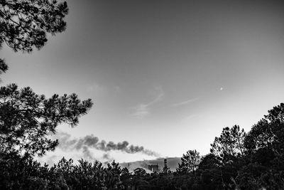 Low angle view of silhouette trees against sky