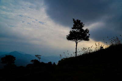 Low angle view of silhouette trees against sky