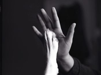 Close-up of hand against blurred background